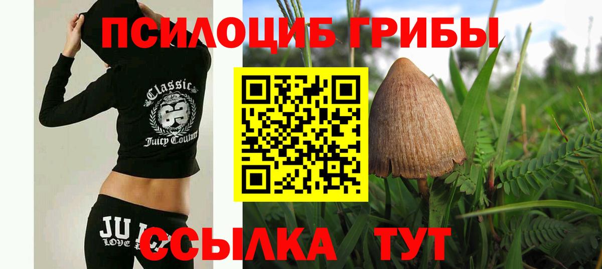 Псилоцибиновые грибы Psilocybe  Галлюциногенные грибы Cubensis  Барнаул  Вход с VPN 